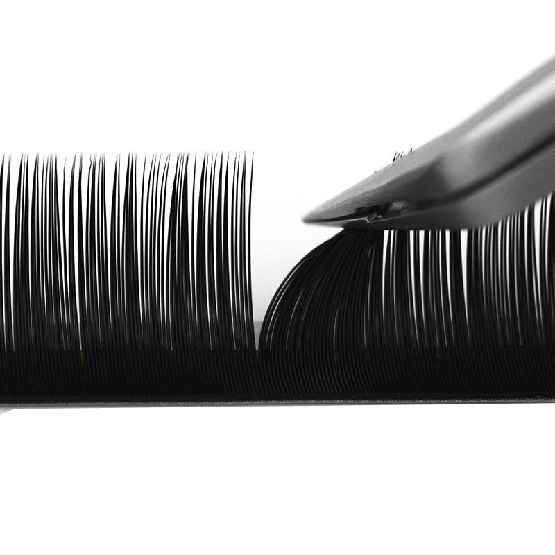 H&L SINCE 1990 20 行フェイクラッシュ合成ミ - Eyelash Extensions Classic のレビューと価格