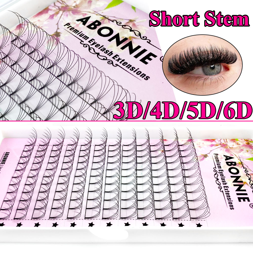 アボニー6Dナローファンプレメイドファン ロシアンボリューム - Eyelash Extension For Asian Eyes のレビューと価格
