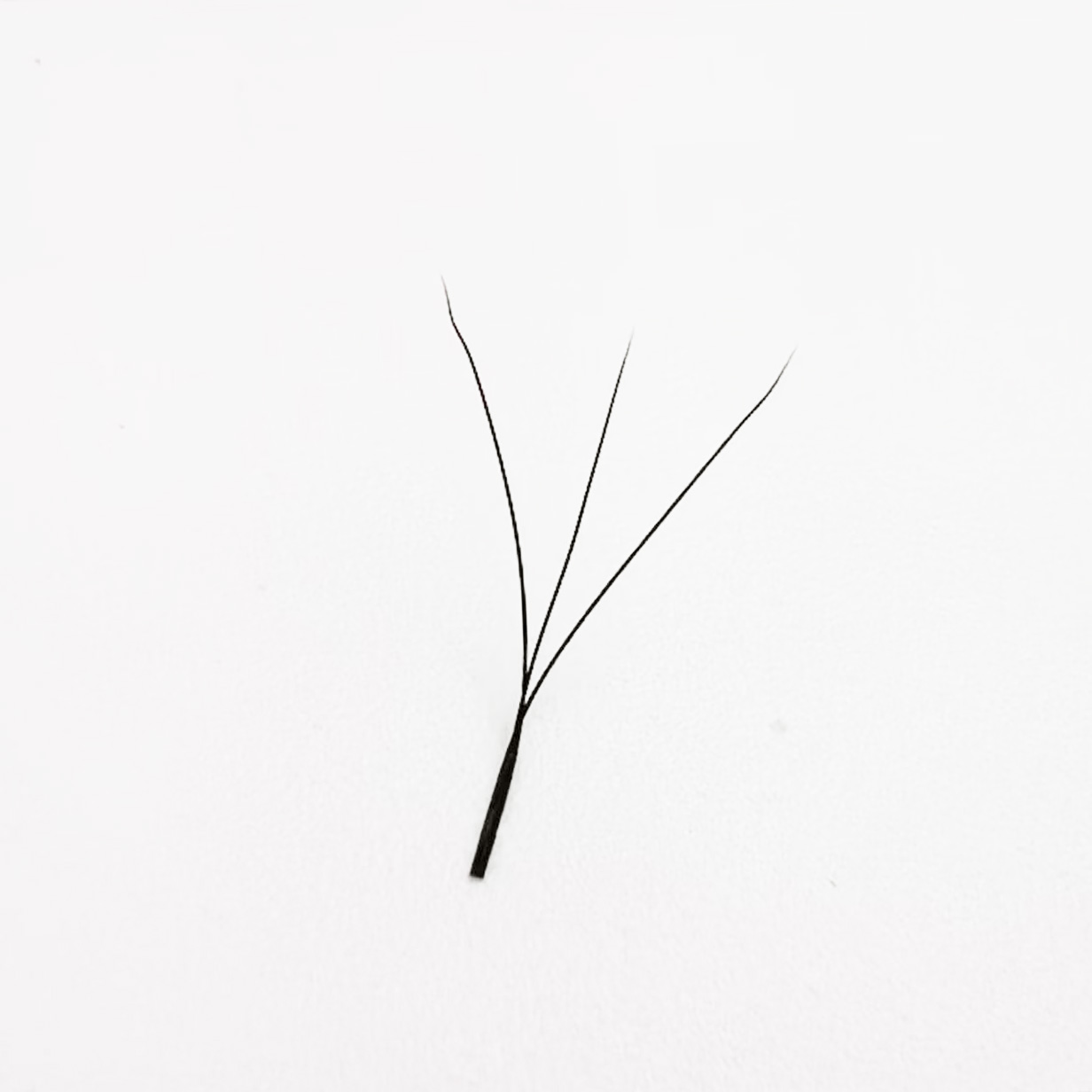 3D Wまつげエクステンション Wシェイプ 3D既製まつげ束 - Eyelash Extensions Classic のレビューと価格